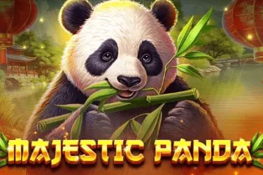 777qiu Aplikasi mobile Android iOS unduh dan akses mudah